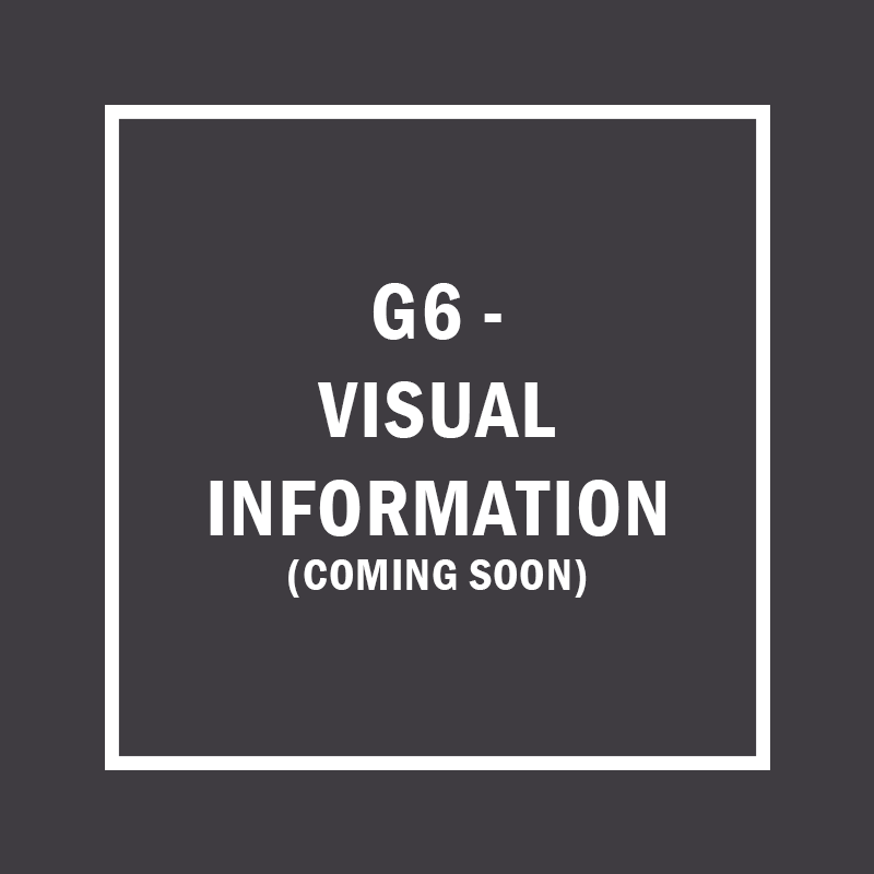 G6 visual information